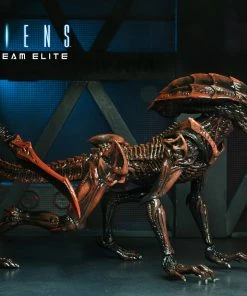 Alien - 7" Scale Action Figure - Prowler - Aliens Fireteam Elite - NECA Collectibles Letter A Costumes