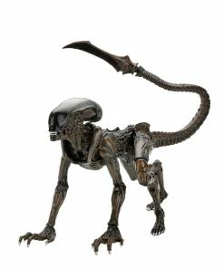 Alien - 7" Scale Action Figure - Runner - Aliens Fireteam Elite - NECA Collectibles Letter A Costumes