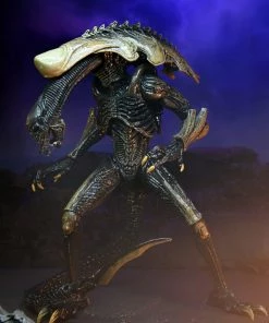 Letter A Costumes Alien Vs Predator 7" Scale Action Figures – Chrysalis Alien (Movie Deco) - NECA Collectibles