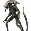 Letter A Costumes Alien Vs Predator 7" Scale Action Figures – Chrysalis Alien (Movie Deco) - NECA Collectibles
