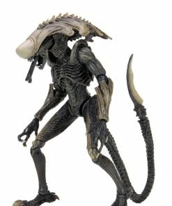 Letter A Costumes Alien Vs Predator 7" Scale Action Figures β Chrysalis Alien (Movie Deco) - NECA Collectibles
