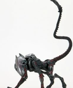 Aliens - 7" Scale Action Figure - Kenner Tribute Night Cougar Alien - NECA Collectibles Letter A Costumes