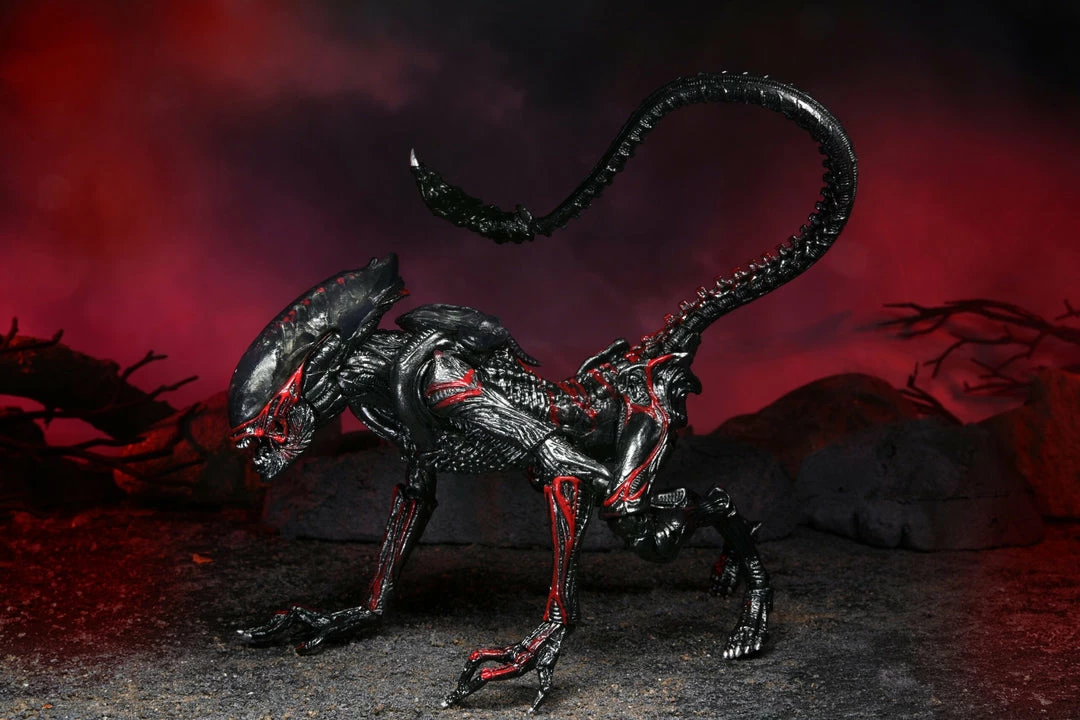 Aliens - 7" Scale Action Figure - Kenner Tribute Night Cougar Alien - NECA Collectibles Letter A Costumes