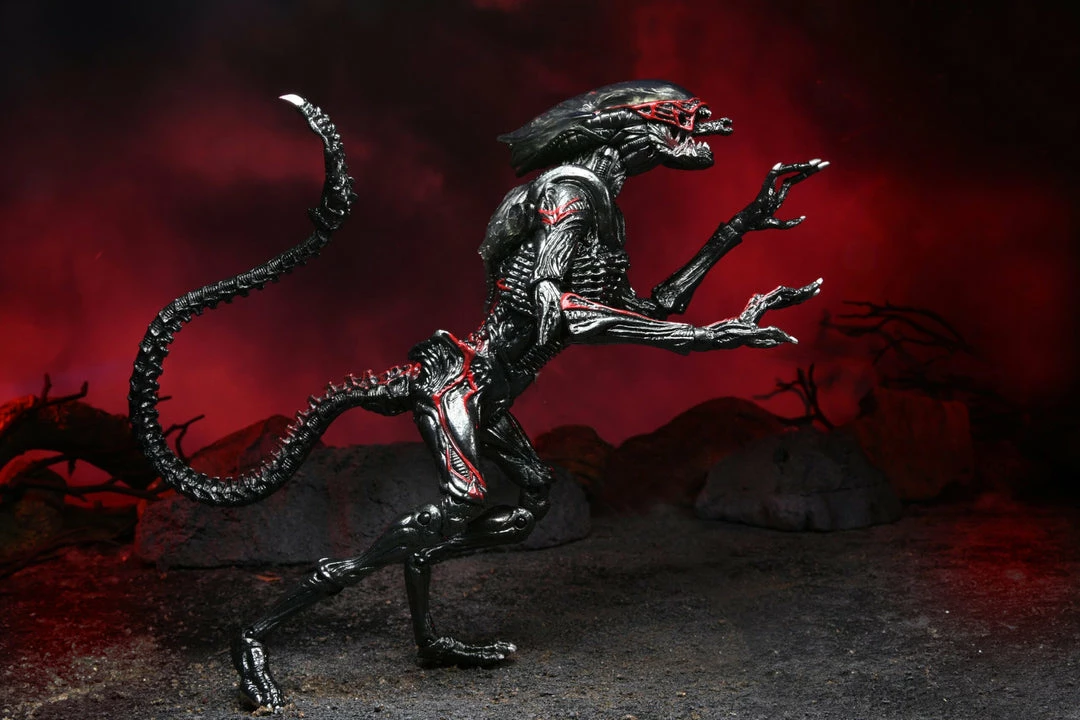 Aliens - 7" Scale Action Figure - Kenner Tribute Night Cougar Alien - NECA Collectibles Letter A Costumes