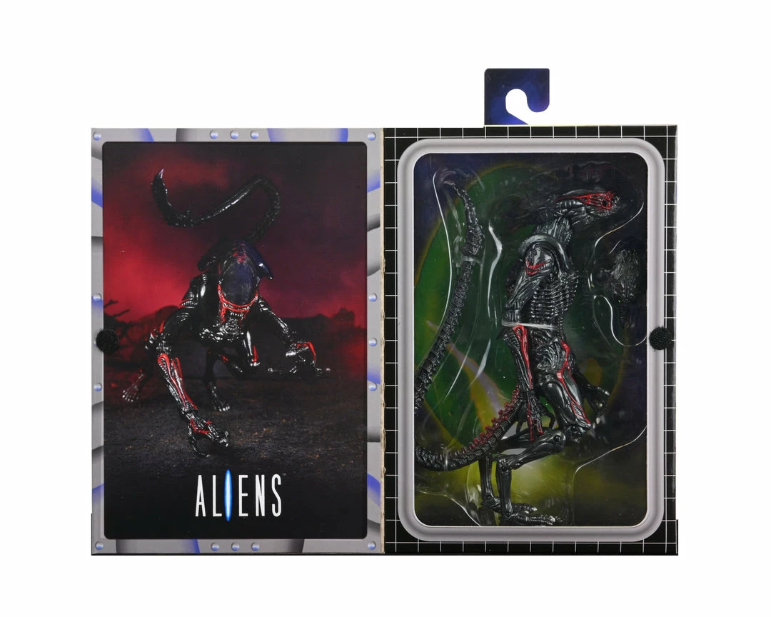 Aliens - 7" Scale Action Figure - Kenner Tribute Night Cougar Alien - NECA Collectibles Letter A Costumes