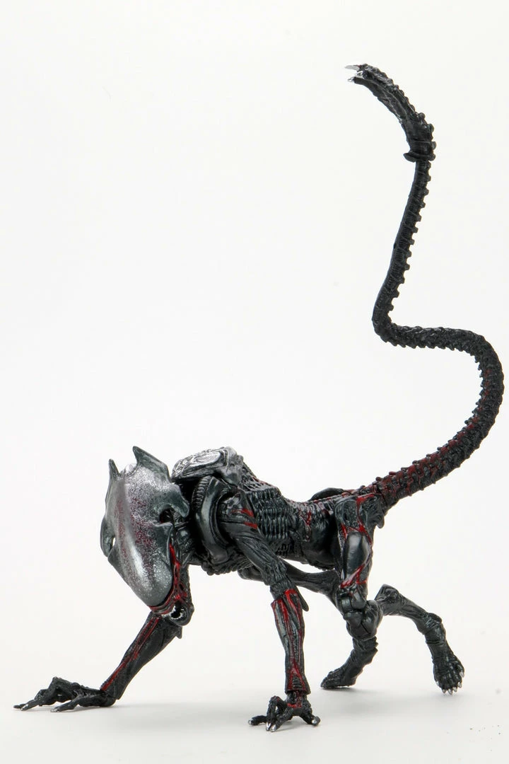 Aliens - 7" Scale Action Figure - Kenner Tribute Night Cougar Alien - NECA Collectibles Letter A Costumes