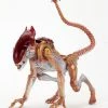 Letter A Costumes Aliens - 7" Scale Action Figure - Kenner Tribute Panther Alien - NECA Collectibles