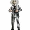 Rubie's Mens Beetlejuice Collector's Edition Costume For Adults - Warner Bros Beetlejuice