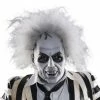 Rubie's Shop All Adult Costumes Beetlejuice Overhead Mask With Hair For Adults - Warner Bros Beetlejuice