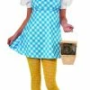 Rubie's Dorothy Costume For Teens - Warner Bros The Wizard Of Oz Womens