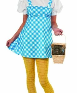 Rubie's Dorothy Costume For Teens - Warner Bros The Wizard Of Oz Womens