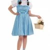 Rubie's Dorothy Deluxe Plus Size Costume For Adults - Warner Bros The Wizard Of Oz Womens