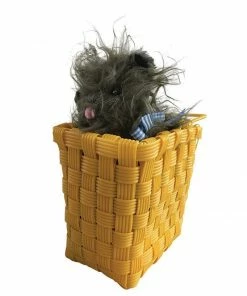 Rubie's Book Week Dorothy's Toto In The Basket - Warner Bros The Wizard Of Oz