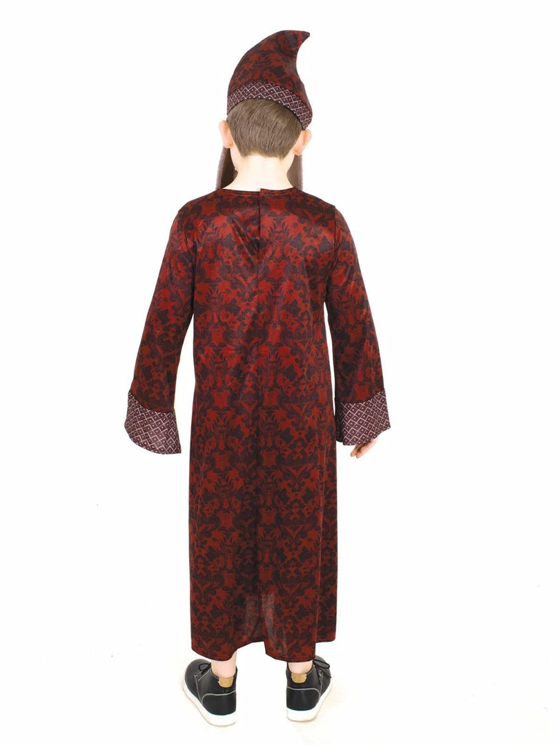 Rubie's Boys Dumbledore Robe For Kids - Warner Bros Harry Potter