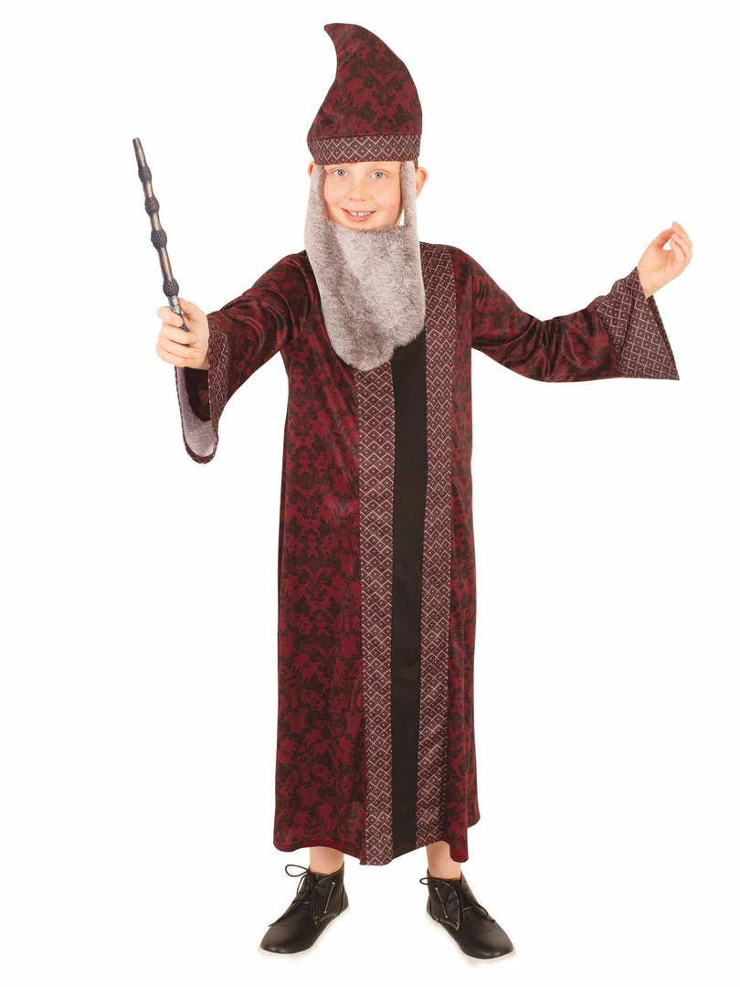 Rubie's Boys Dumbledore Robe For Kids - Warner Bros Harry Potter