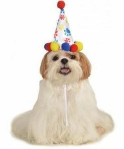 Rubie's Paw Print Birthday Boy Pet Hat Pets