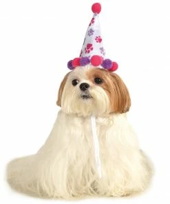 Rubie's Paw Print Birthday Girl Pet Hat Pets
