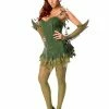 Rubie's Poison Ivy Costume For Adults - Warner Bros DC Comics Womens