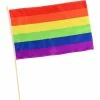 Rubie's Mardi Gras Pride Rainbow Flag