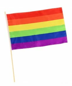 Rubie's Mardi Gras Pride Rainbow Flag