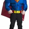 Rubie's Superman Inflatable Costume Top For Adults - Warner Bros DC Comics