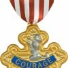 Rubie's Book Week The Wizard Of OZ - Cowardly Lion's Badge Of Courage