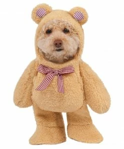 Rubie's Walking Teddy Bear Pet Costume With Arms Pets