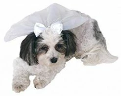 Rubie's Pets Wedding Veil Pet Accessory