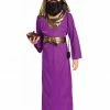 Forum Novelties Boys Wise Man Purple Biblical Costume For Kids